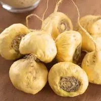 Maca Root powder for natural energy boost and stamina